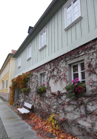 Obsah obr�zku venku, okno, rostlina, home (domov)Obsah generovan� pomoc� AI m��e b�t nespr�vn�.