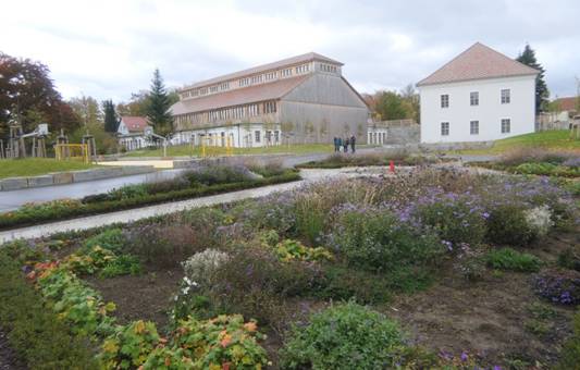 Obsah obr�zku venku, rostlina, tr�va, oblohaObsah generovan� pomoc� AI m��e b�t nespr�vn�.