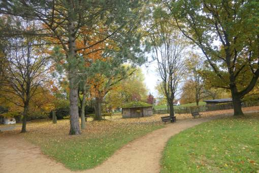 Obsah obr�zku venku, tr�va, obloha, Opadav�Obsah generovan� pomoc� AI m��e b�t nespr�vn�.