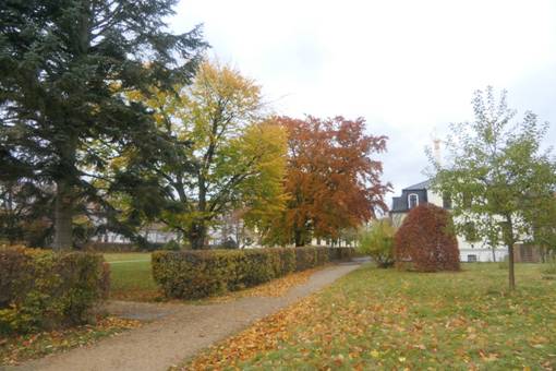 Obsah obr�zku venku, tr�va, obloha, Opadav�Obsah generovan� pomoc� AI m��e b�t nespr�vn�.