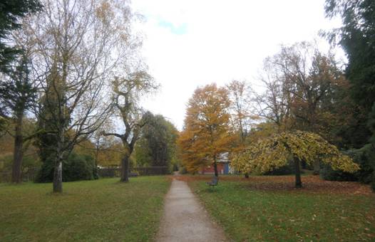 Obsah obr�zku venku, tr�va, obloha, Opadav�Obsah generovan� pomoc� AI m��e b�t nespr�vn�.