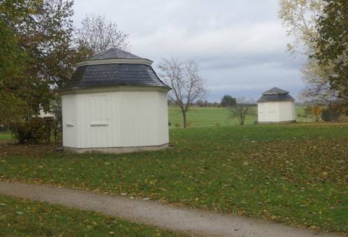 Obsah obr�zku venku, tr�va, strom, oblohaObsah generovan� pomoc� AI m��e b�t nespr�vn�.