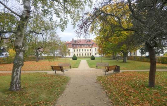 Obsah obr�zku venku, strom, tr�va, oblohaObsah generovan� pomoc� AI m��e b�t nespr�vn�.