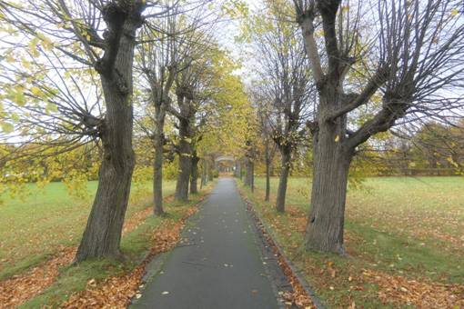 Obsah obr�zku venku, tr�va, obloha, rostlinaObsah generovan� pomoc� AI m��e b�t nespr�vn�.