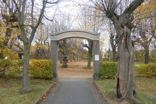 Obsah obr�zku venku, strom, tr�va, oblohaObsah generovan� pomoc� AI m��e b�t nespr�vn�.