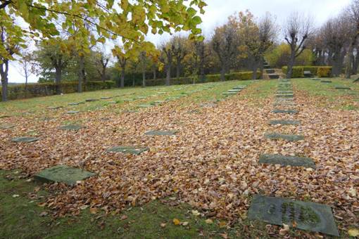 Obsah obr�zku venku, tr�va, obloha, Opadav�Obsah generovan� pomoc� AI m��e b�t nespr�vn�.