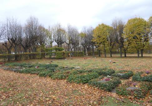 Obsah obr�zku venku, tr�va, obloha, podzimObsah generovan� pomoc� AI m��e b�t nespr�vn�.