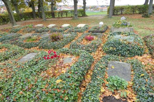 Obsah obr�zku strom, venku, rostlina, tr�vaObsah generovan� pomoc� AI m��e b�t nespr�vn�.