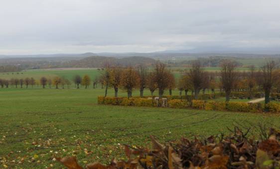 Obsah obr�zku tr�va, venku, podzim, mrakObsah generovan� pomoc� AI m��e b�t nespr�vn�.