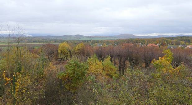 Obsah obr�zku venku, podzim, mrak, tr�vaObsah generovan� pomoc� AI m��e b�t nespr�vn�.