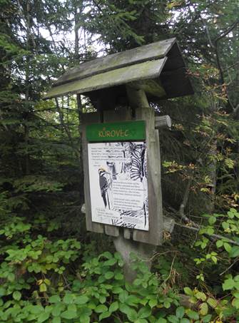 image070